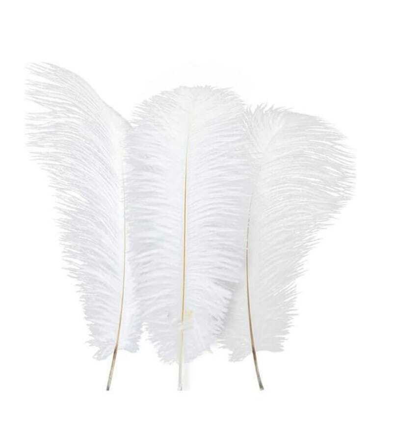 Ostrich feather